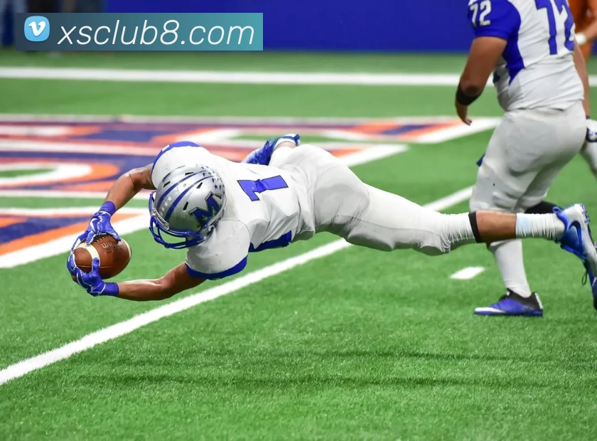 新盛娱乐官网平台生态图