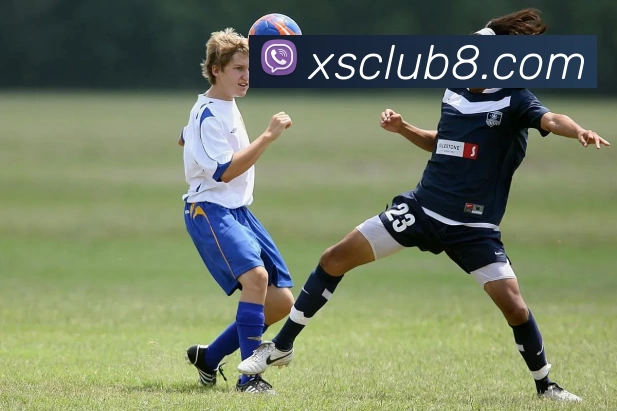 新盛娱乐官网APP 封面图